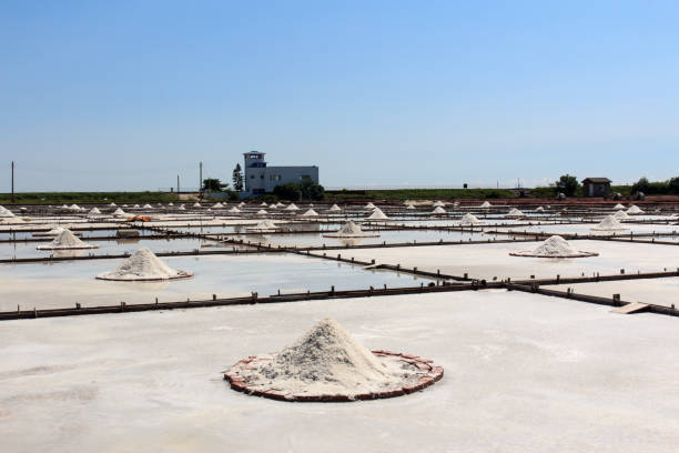Ramming Mass Manufacturer what is ramming mass